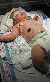 Crouse Little Fighter Gabriel