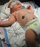 Crouse Little Fighter Gabe