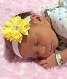 Stella Hunt, Crouse Little Fighter