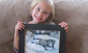 A Crouse Little Fighter, then and now