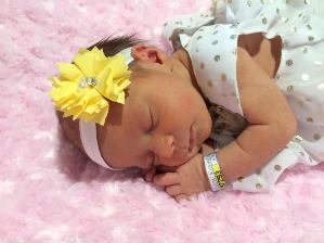 Crouse Little Fighter, Stella 