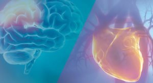 brain and heart graphic